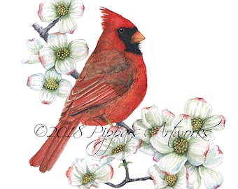 Original Watercolor Print, Cardinal print, Bird Painting, Wall Art, Home decor, Wild Bird Picture, Christmas Cardinal gift, Watercolor bird