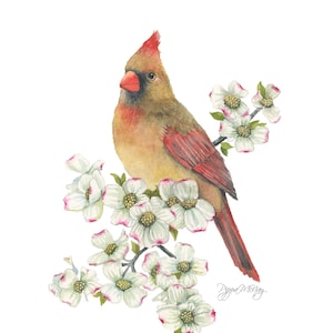 Bird picture, Original Watercolor Print, Cardinal print, Bird Painting, Wall Art, Home decor, Wild Bird Picture, Watercolor bird