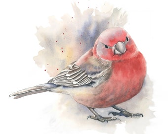 Watercolor print of red finch Bird Print Original watercolor print Bird Painting,Wall Art,Home decor,Wild Bird Picture Watercolor bird