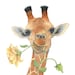 Philippa