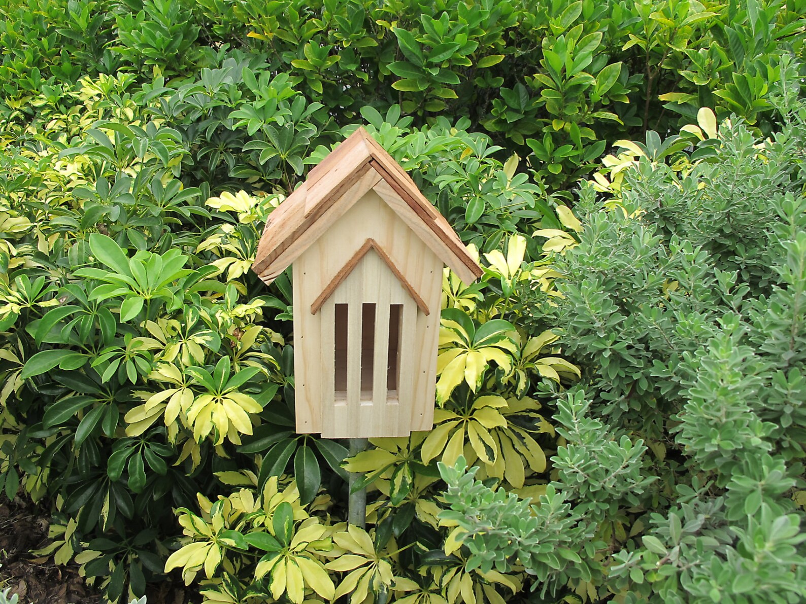 Butterfly House Natural Wood Butterfly House Butterfly House Etsy