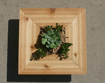 Succulent Planter, Wooden Wall Hanging Garden