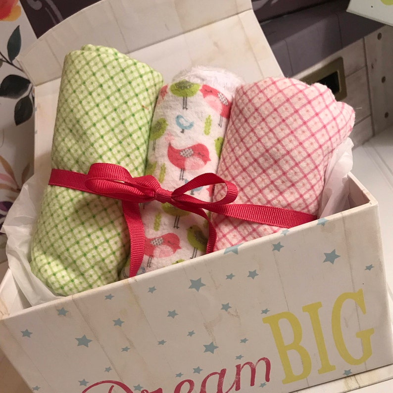 Ladybugs /& Gingham Burp Cloth Personalized