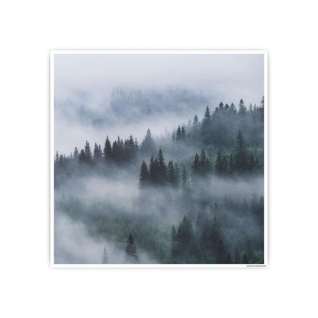 Square Foggy Forest Trees Wall Art Print - Etsy