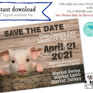 Editable livestock show save the date template.  A State Fair Livestock Save The Date invitation. Easy to edit. Pig invite template.