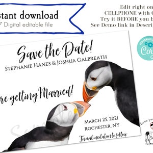Papageitaucher Save The Date: Eine süße Papageientaucher-Hochzeitseinladung, die du online anpassen und bearbeiten kannst. Testen Sie die Demo im Text kostenlos.