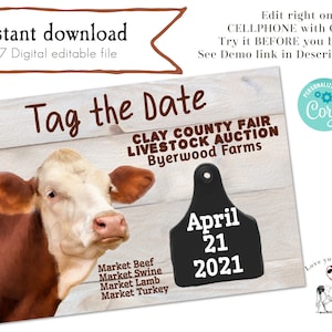 Etiqueta de vaca Hereford para la fecha: una invitación para guardar la fecha del tamaño de una postal para 4H, exposición de ganado y feria del condado. Descarga digital instantánea