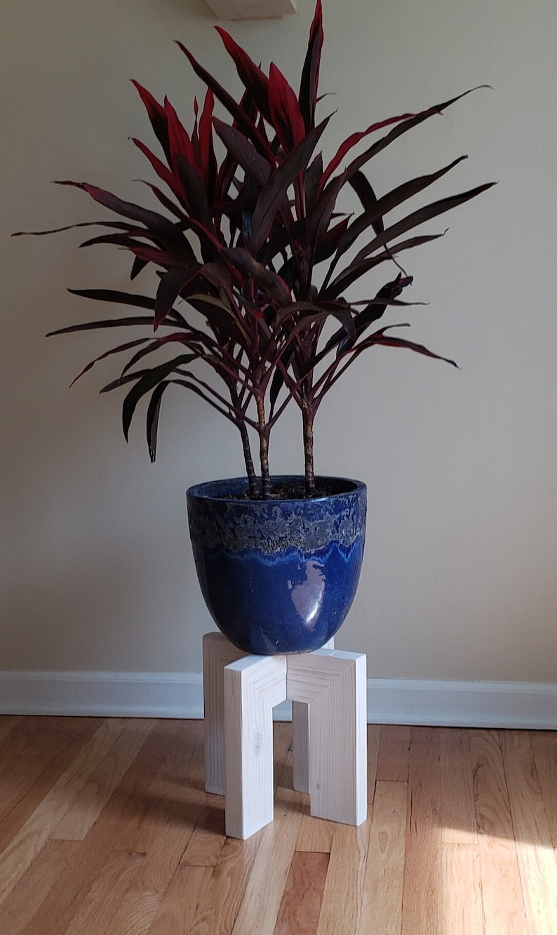 Op de afbeelding: Een kamerplant met donkerrode en groene bladeren in een glanzende blauwe keramische pot. De pot staat op een kleine, witte, houten plantenstandaard. De standaard heeft een geometrisch ontwerp.
