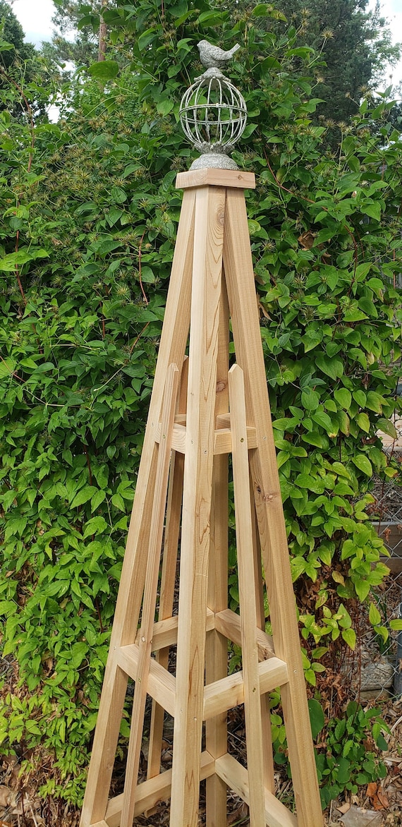 money maker tomato plant Tomato Moneymaker Seedling – Weathersfield Organics main image 1