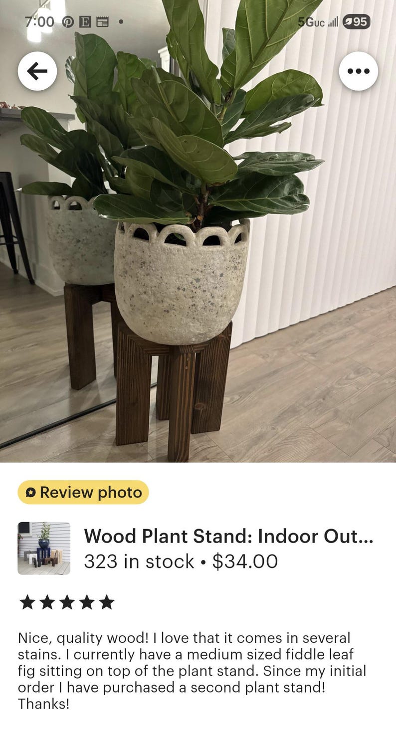 Op de afbeelding: Een grootbladige vioolbladplant in een decoratieve, gespikkelde witte pot, geplaatst op een donkerbruine houten plantenstandaard. De standaard heeft een eenvoudig, vierkant ontwerp. De plant staat binnen, bij een raam.