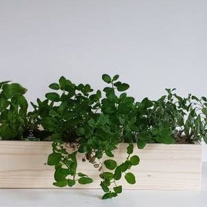 Wood planter box handmade  succulent box pine boxes wooden wedding boxes 24&quot;