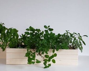 Handmade Pine Wood Succulent Planter Box: 24" Wedding Centerpiece