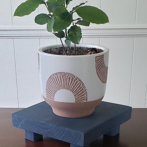 May include: A small potted plant with green leaves sits on a dark blue wooden plant stand with four legs. The plant pot is white with a brown geometric pattern.
