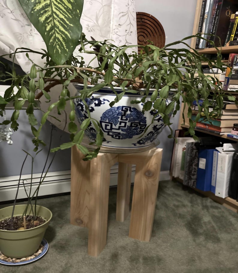 Op de afbeelding: Een grote, sierlijke blauw-witte keramische plantenbak gevuld met een hangende groene plant. De plantenbak staat op een kleine, natuurlijke houten plantenstandaard. Een andere kleine plant in pot is zichtbaar op de voorgrond.