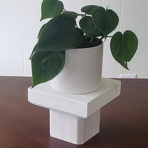 May include: A white wooden plant stand with a white ceramic pot and a green leafy plant. The plant stand has a square top and a rectangular base.