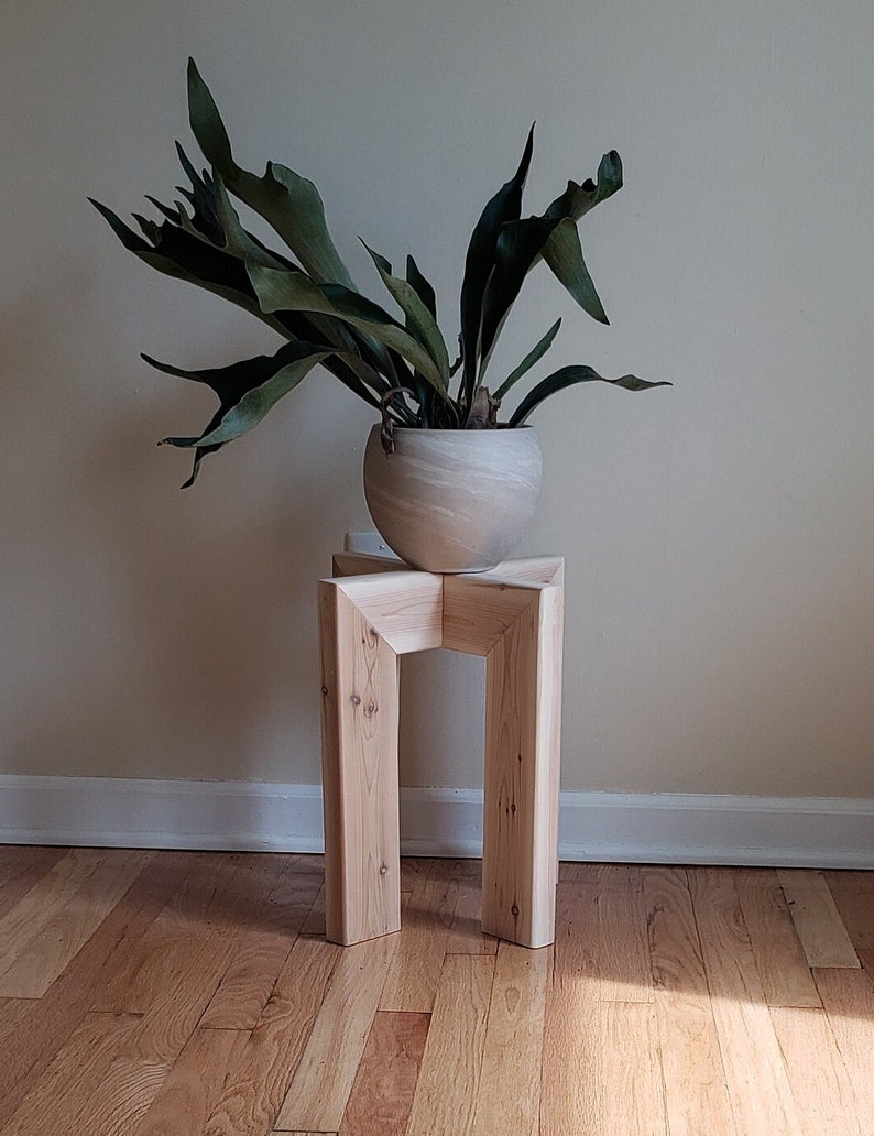 Op de afbeelding: Een hertshoornvaren in een lichtgekleurde, ronde pot staat op een lichtgekleurde, houten plantenstandaard. De standaard heeft een geometrisch ontwerp met een vierkante bovenkant en twee poten. De varen heeft grote, groene, geweivormige bladeren.