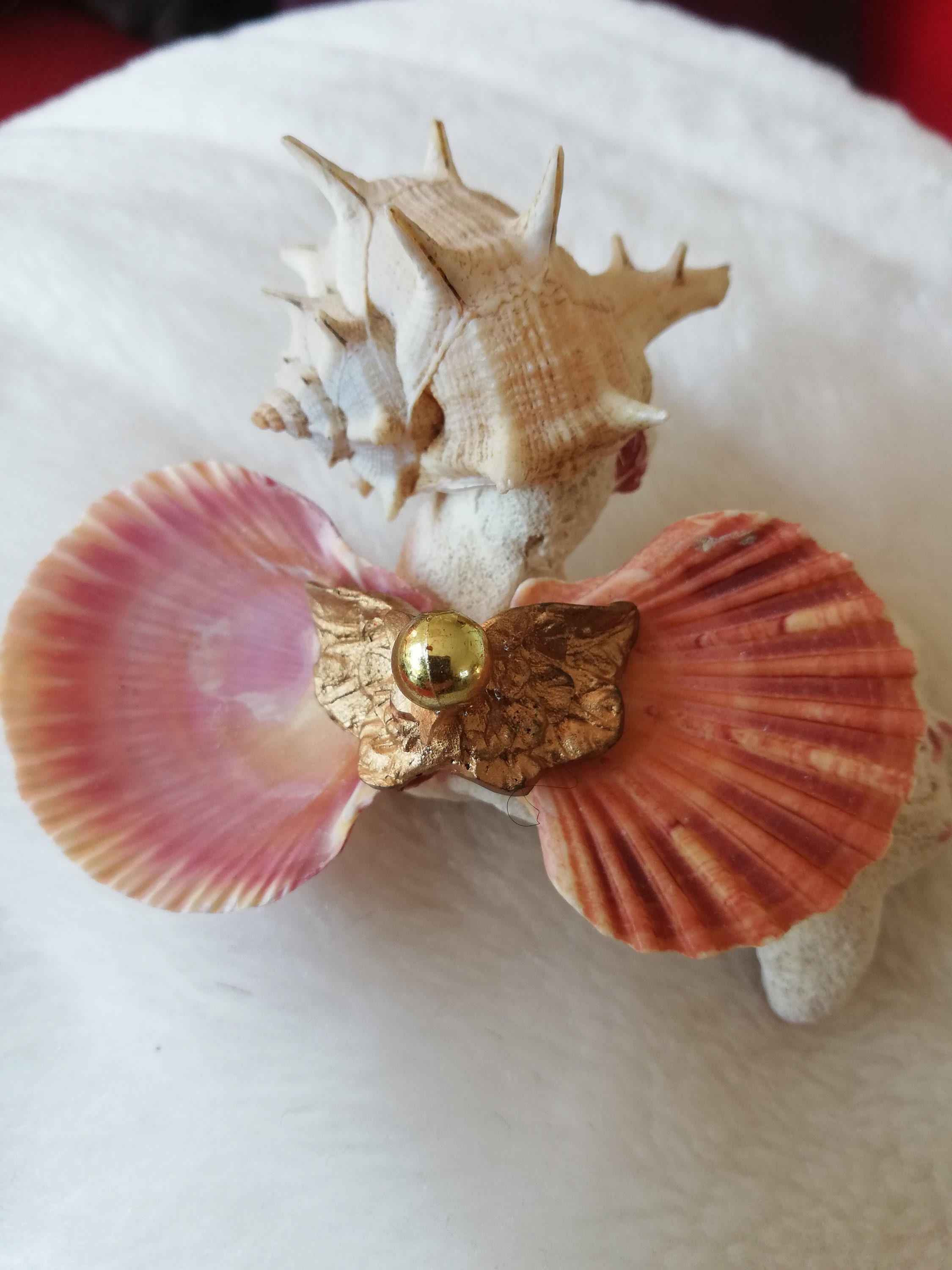 Créature Corail Casquée Ailée