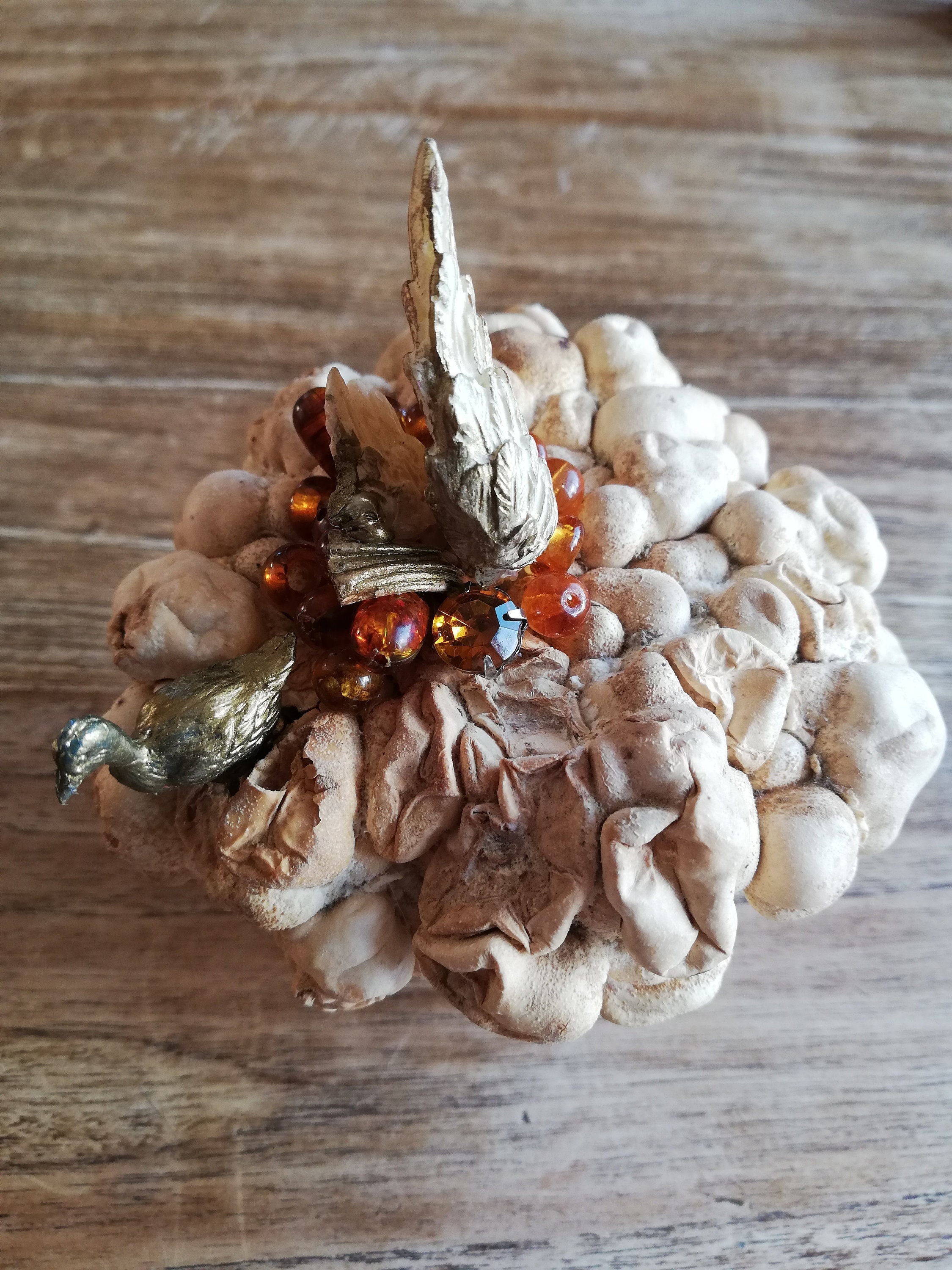 Coloquinte Globuleuse Aux Velléités d'envol