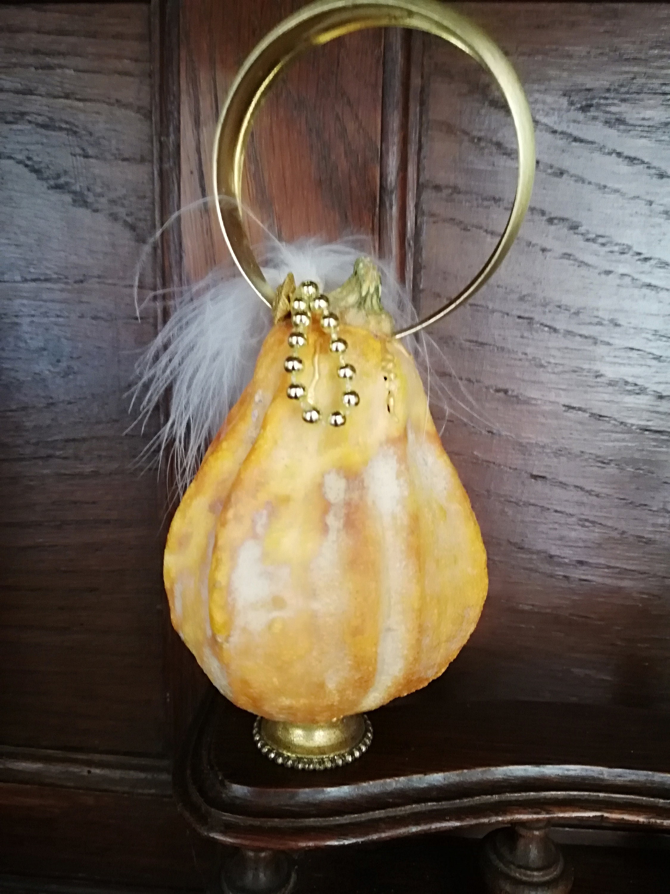 Coloquinte Sacrée à Plume