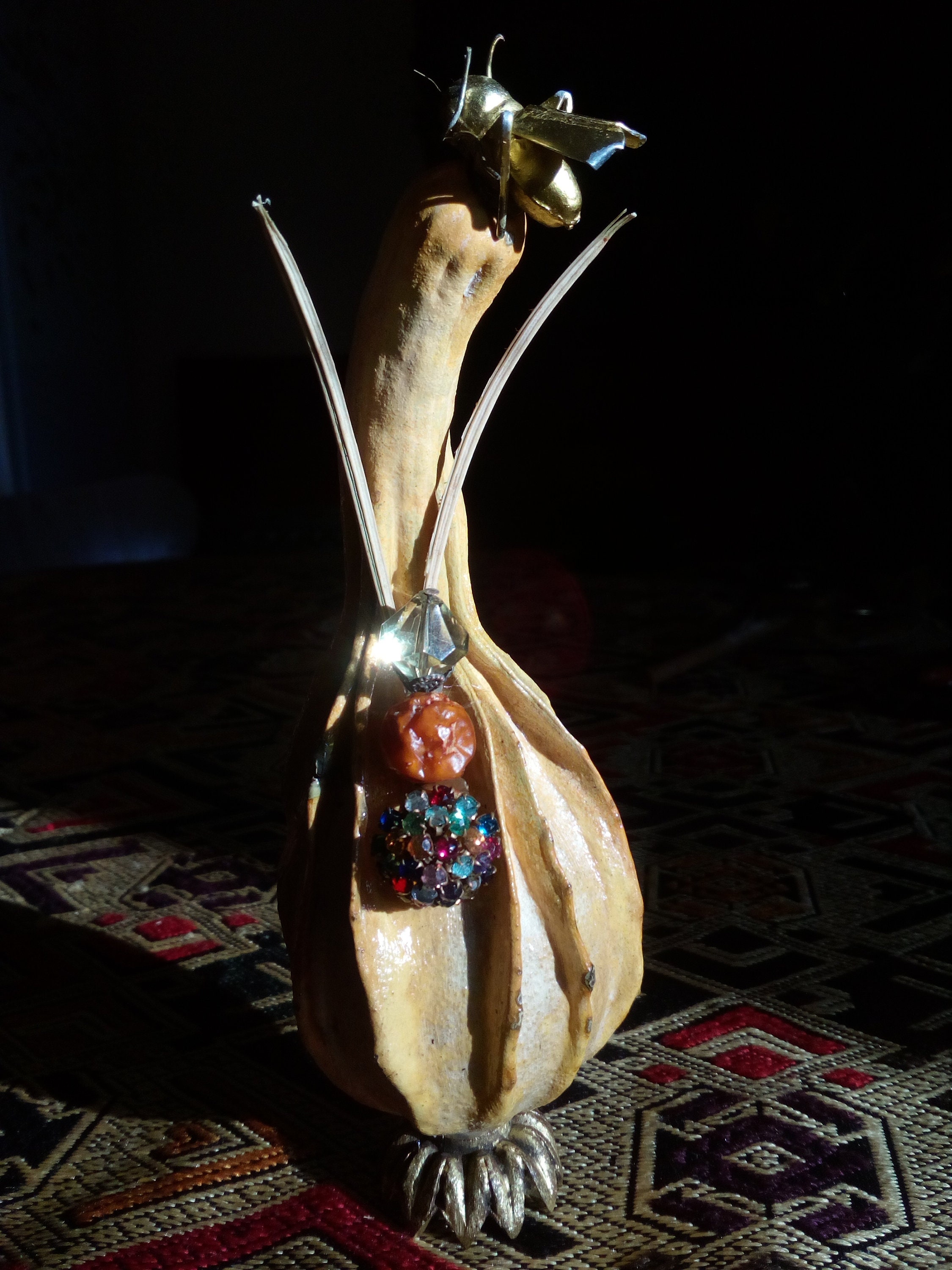 Coloquinte-Insecte Précieux