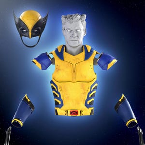Può includere: Un costume da supereroe giallo e blu con una maschera, un pezzo per il petto e pezzi per le braccia. Il costume è realizzato con un materiale strutturato e ha un aspetto usurato.