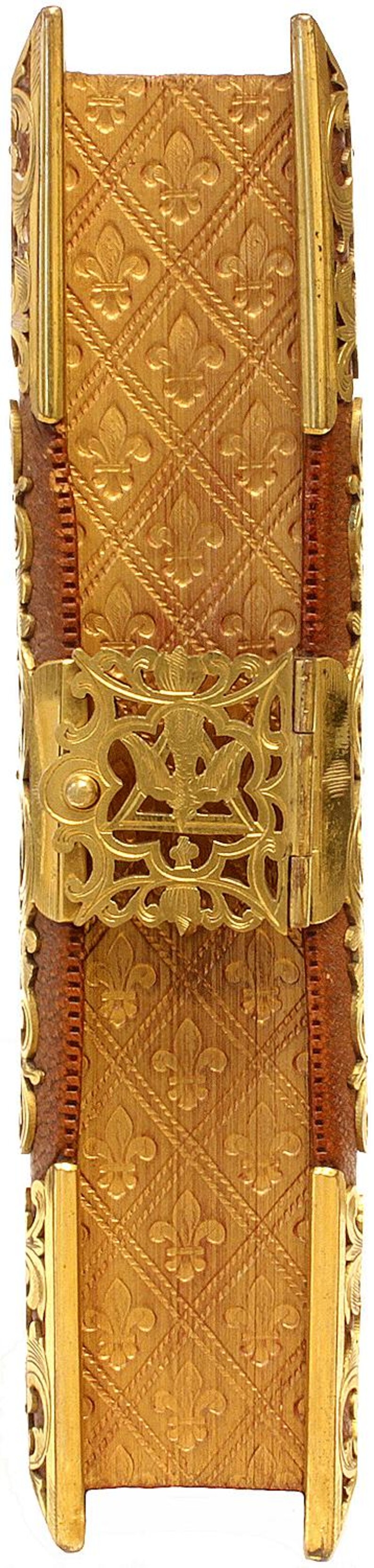 Puede incluir: Primer plano detallado de una cubierta de libro decorativa. La cubierta es de un marr&oacute;n dorado c&aacute;lido con un patr&oacute;n de flor de lis repetido. Los detalles met&aacute;licos dorados y un cierre se suman a la est&eacute;tica antigua. El libro mide aproximadamente 25 cm de alto.