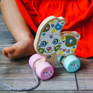 push and pull toy / Wooden car / toy on wheels / toy on the cord / toy bunny / toy rabbit / educational toy / eco toy