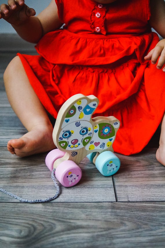 Push and Pull Toy / Wooden Car / Toy on Wheels / Toy on the Etsy