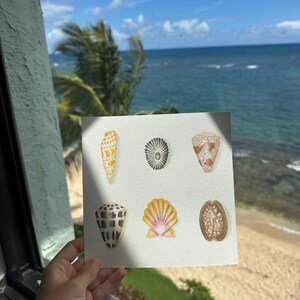 Hand-Painted Shells Giclee Print