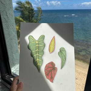 May include: A watercolor illustration of four different leaves in shades of green and red. The leaves are detailed with visible veins and textures. The background shows a view of the ocean and sky.