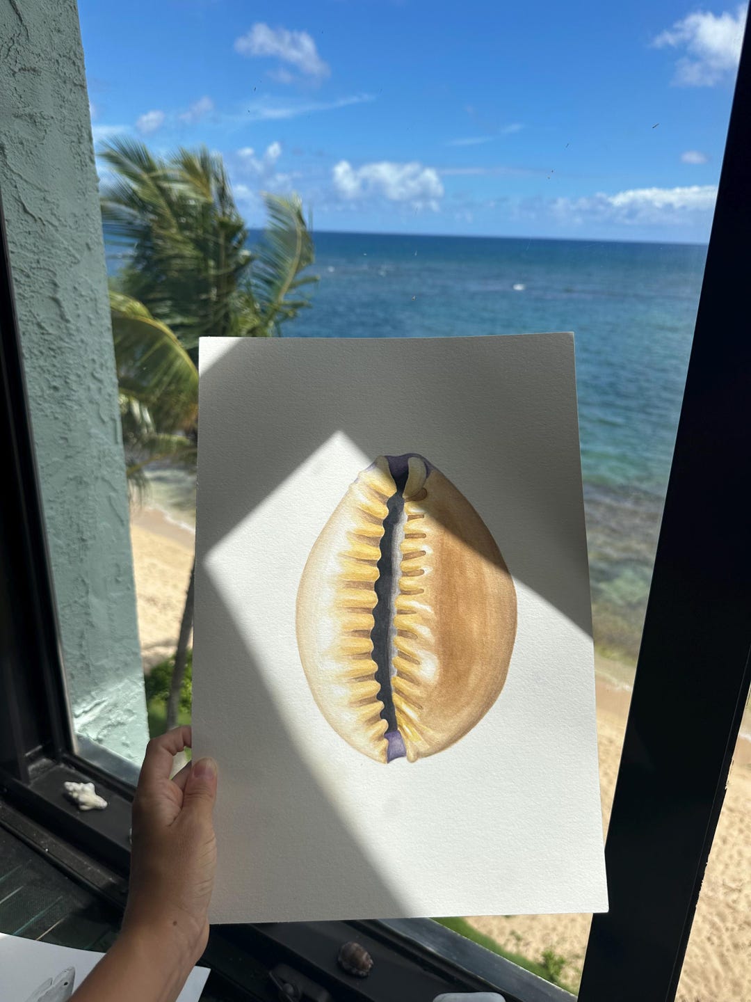 Cowrie Shell Handpainted Watercolor Print - Etsy