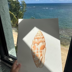 Könnte beinhalten: Aquarellmalerei einer Muschel. Die Muschel hat eine hellorange Farbe mit dunkelorangen Flecken und Streifen. Der Hintergrund ist ein strahlend blauer Himmel und Ozean.