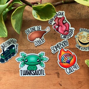 Puede incluir: Un conjunto de 9 pegatinas coloridas con varias ilustraciones y texto. Las pegatinas incluyen un tren, una pierna de pollo, un corazón, una luna que llora, un ajolote, una bola de discoteca en llamas, y más.