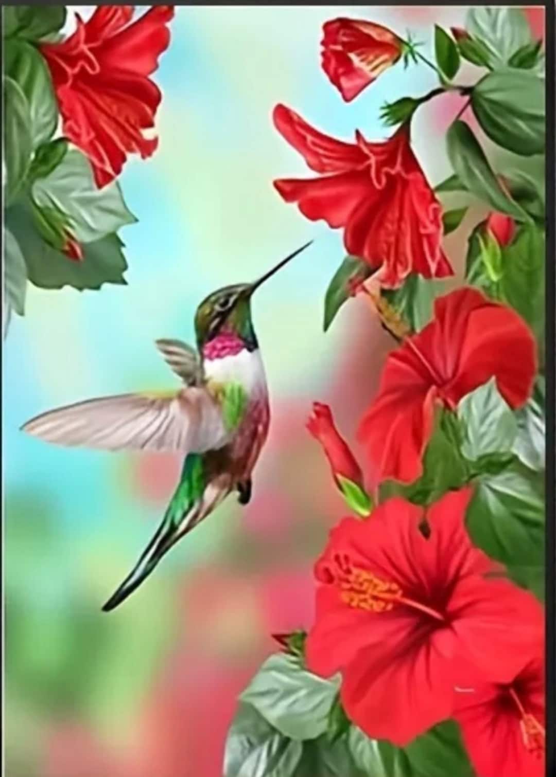 Hummingbird Diamond Art Painting Kit, Hibiscus Diamond Art Kit, Bird