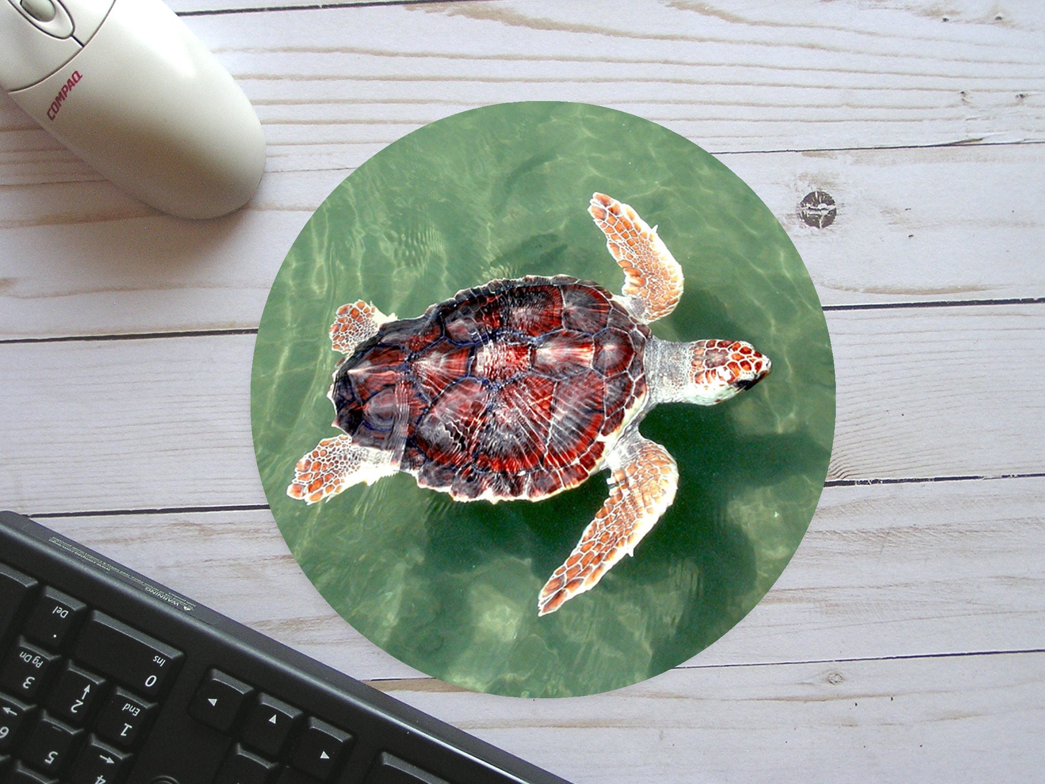 Sea Turtle Gifts Etsy Pin On Life S A Beach / One of our favorite places to look for creative