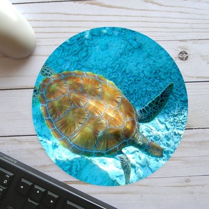 以下が含まれることがあります： 青い水の中を泳ぐウミガメのクローズアップ。カメは黄色い模様のある茶色の甲羅をしています。水は澄んでいて、底の砂と岩が見えます。