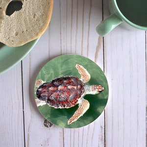 Unique Sea Turtle Circle Sandstone Coasters Housewarming Gift For Turtle Lover,Turtle Shell Stone Coaster Gifts,Sea Life Turtle Art Decor