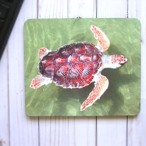 Square Mousepads Sea Turtle Gifts,Neoprene Turtle Shell Gifts For Animal Lover,Ocean Creatures Computer Office Gifts,Sea Turtle Mouse Pad