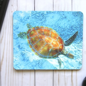 May include: A close-up of a sea turtle swimming in blue water. The turtle has a brown shell with orange markings and is swimming towards the right side of the image.