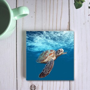May include: A green sea turtle swims in blue water with white waves. The turtle has a brown shell with black markings and is facing right.