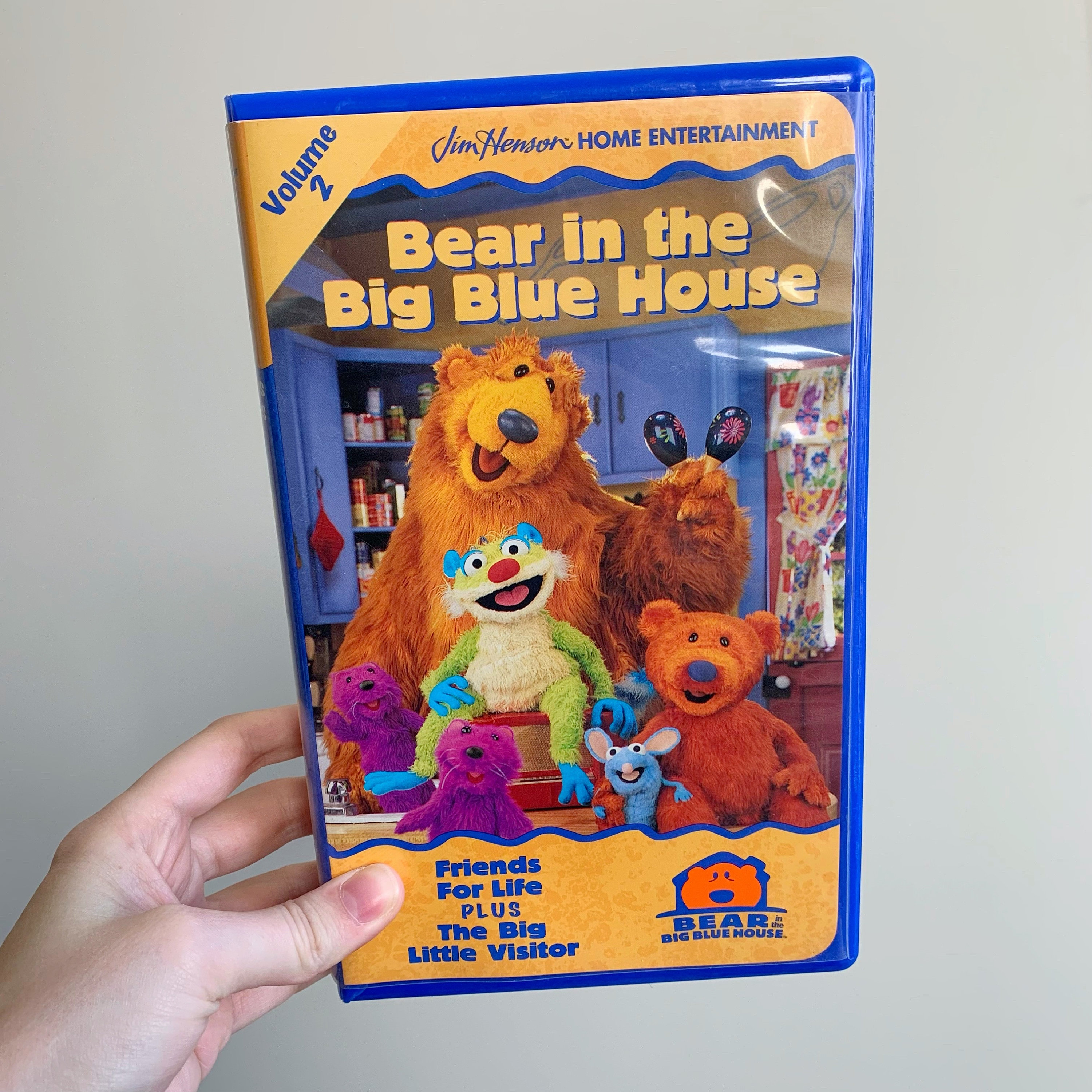 L'orso nella grande casa blu VHS Amici per la vita più Il piccolo
