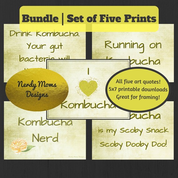 Kombucha Quote Set Funny Kombucha Quote Bundle 5x7 Etsy