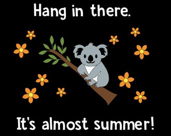 Koala Bulletin Board Set End of School Year Classroom Decoration