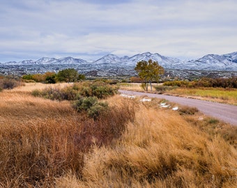 Bosque Field Road is a landscape photograph of an early spring snow at the Bosque del Apache, NWR in New Mexico