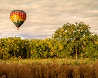 Hot air balloon over the Bosque, Rio Grande River, Albuquerque NM with some fall color