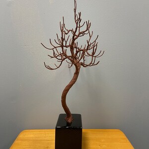 Puede incluir: Una escultura de alambre marr&oacute;n de un &aacute;rbol con un tronco retorcido y muchas ramas. El &aacute;rbol est&aacute; sentado sobre una base cuadrada negra.