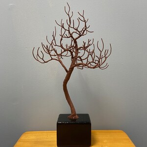 Puede incluir: Una escultura de alambre marr&oacute;n de un &aacute;rbol con un tronco retorcido y muchas ramas. El &aacute;rbol est&aacute; sentado sobre una base cuadrada negra.