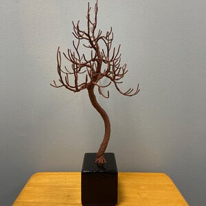 Puede incluir: Una escultura de alambre marr&oacute;n de un &aacute;rbol con un tronco retorcido y muchas ramas. La escultura est&aacute; sobre una base cuadrada negra.