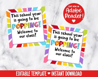 Popping School Year, Teacher Gift for Students, First Day of School Gift, Meet the Teacher Gift, Classroom Gift, Popper Class Gift