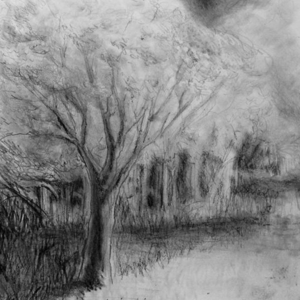 Nature Walk / Original artwork Graphite and Charcoal on Paper